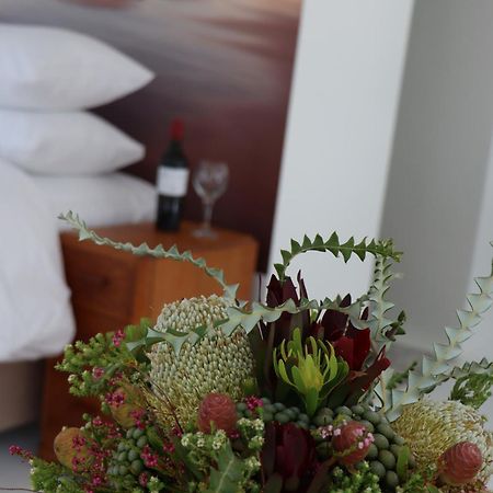 Bettyʼs Bay Nivenia Beach House מראה חיצוני תמונה